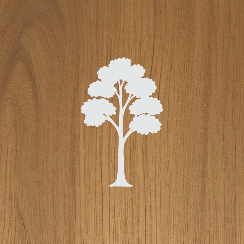 Cedar tree