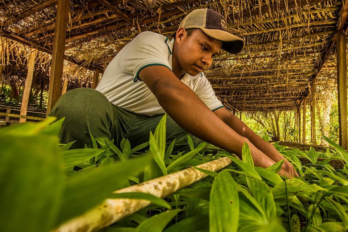 Local employment and community impact at Las Azucenas