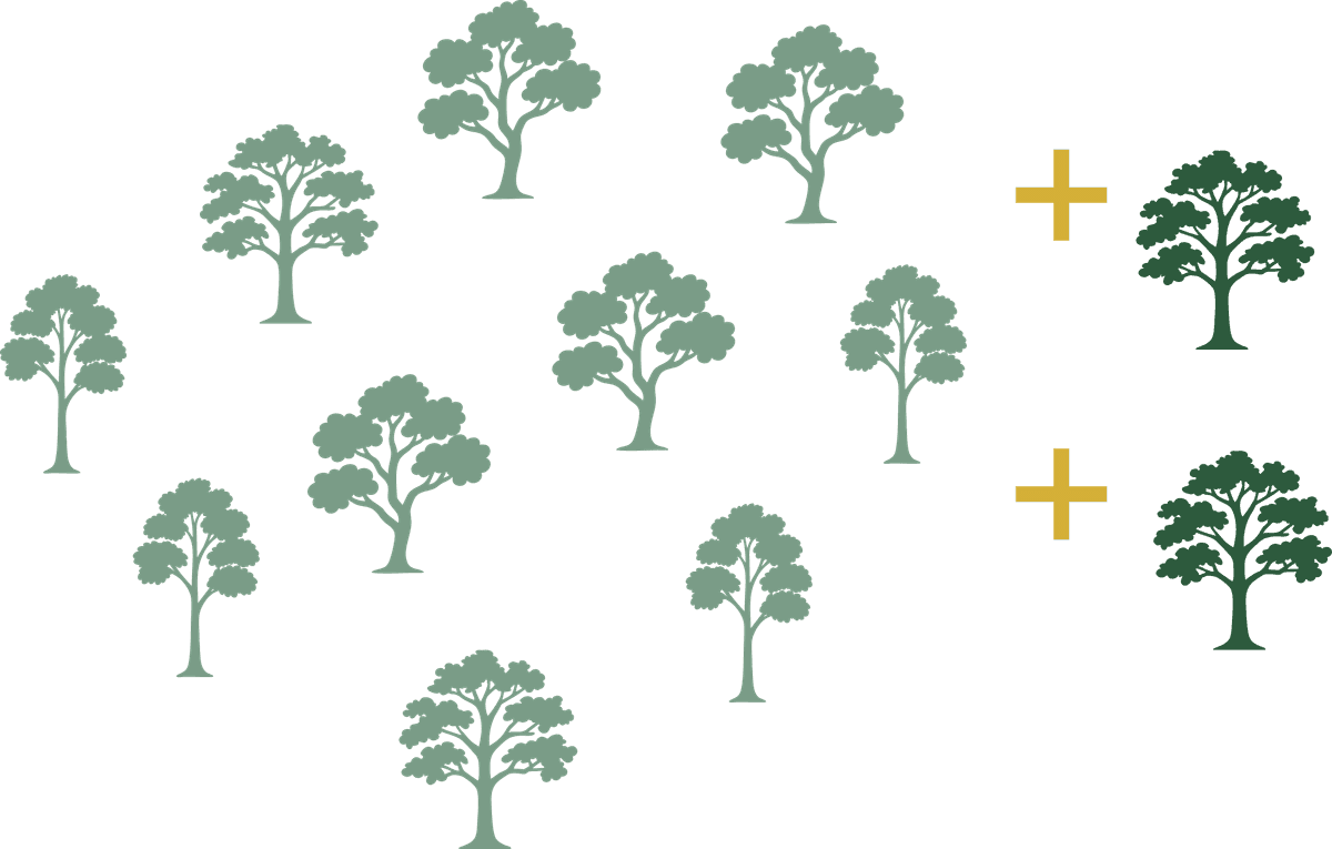 Green Friday tree ownership offers