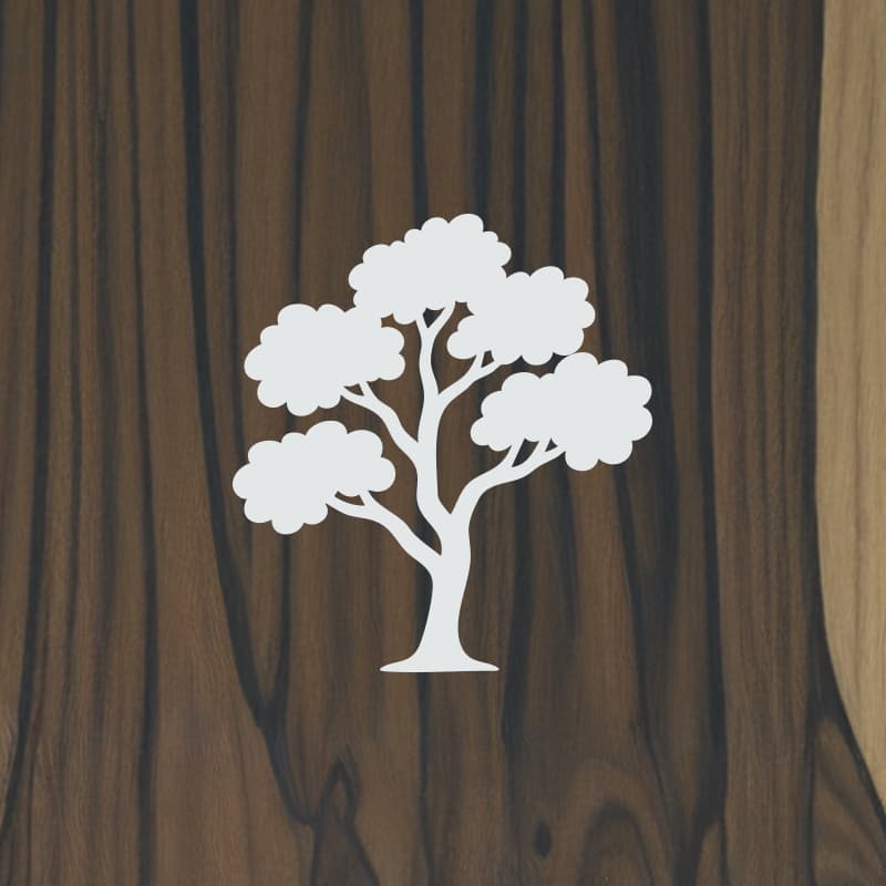 Ziricote tree