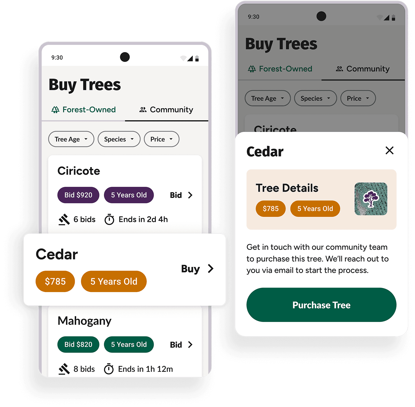 Your Tree Portfolio Dashboard