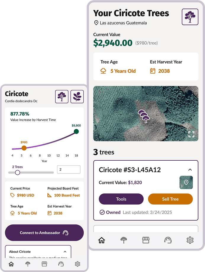 Canopy Marketplace