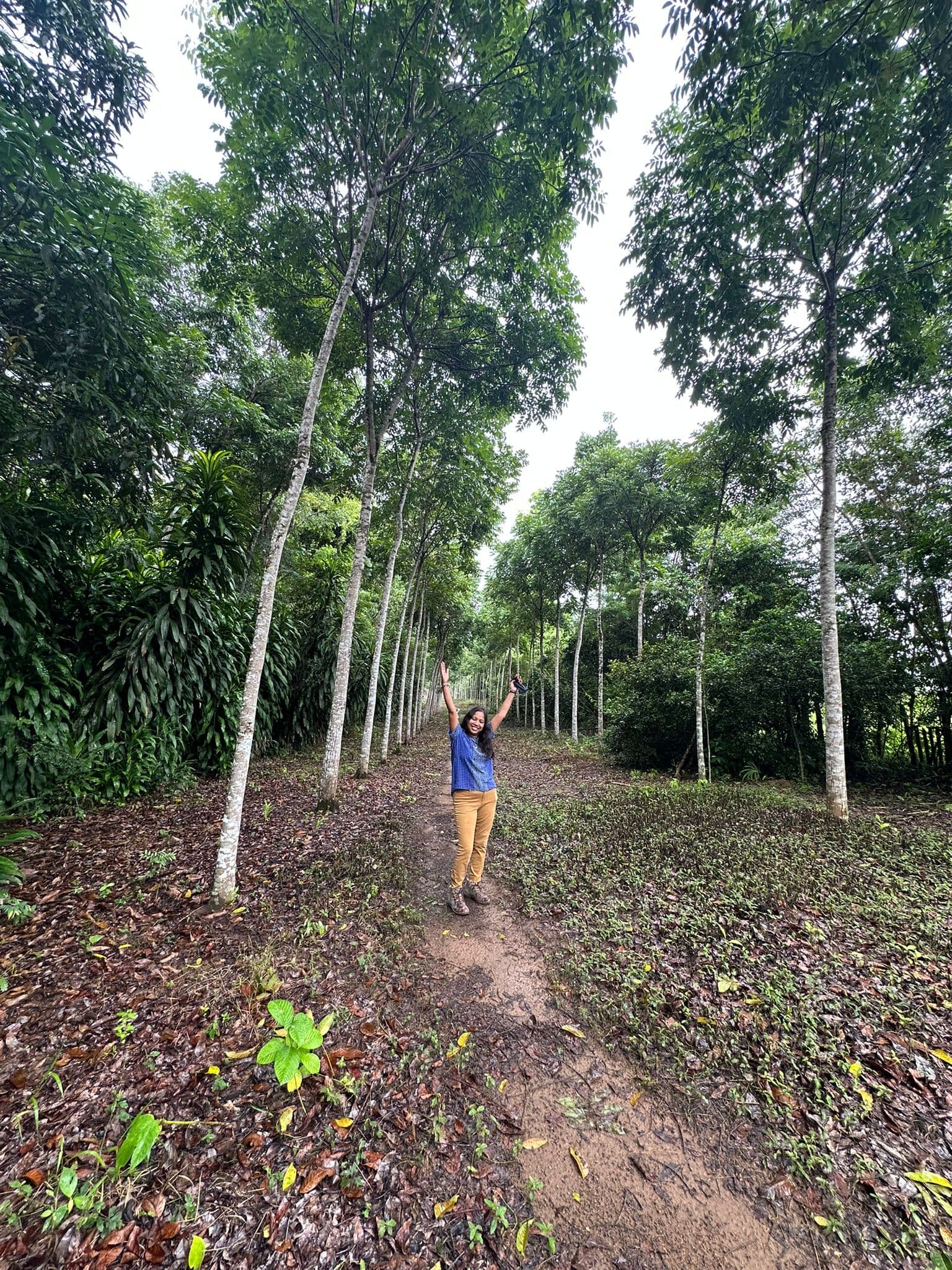 Mahogany at Las Azucenas gallery image 4