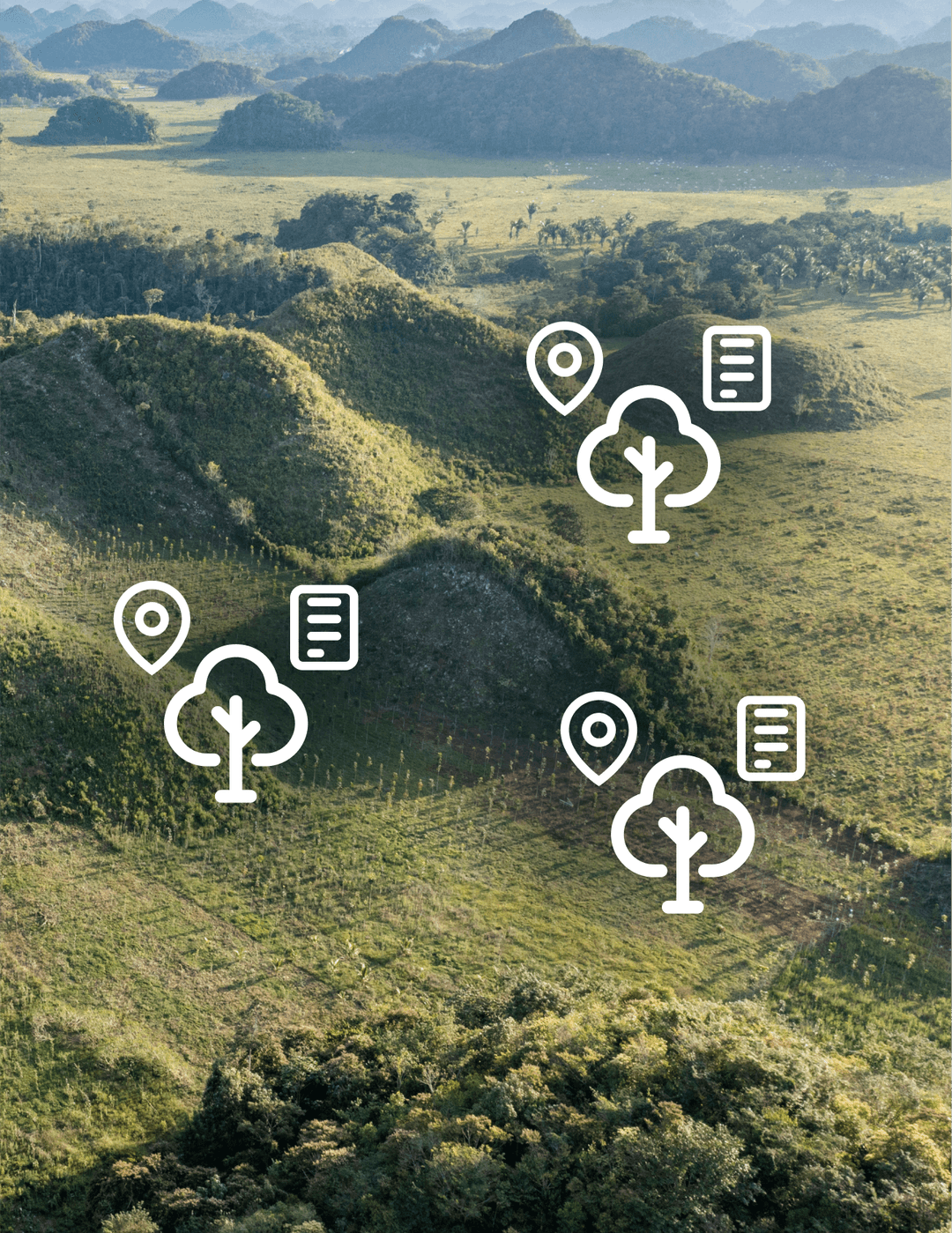 GPS-mapped trees showing precise location tracking and identification
