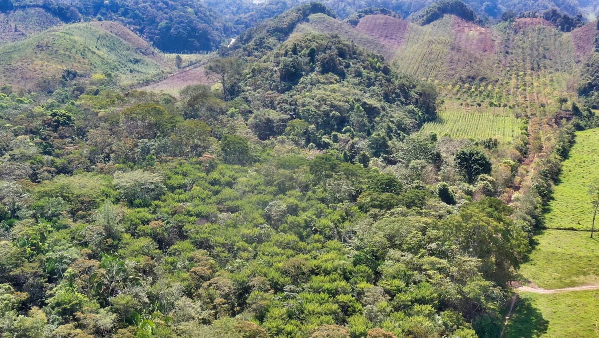Las Azucenas Biosphere