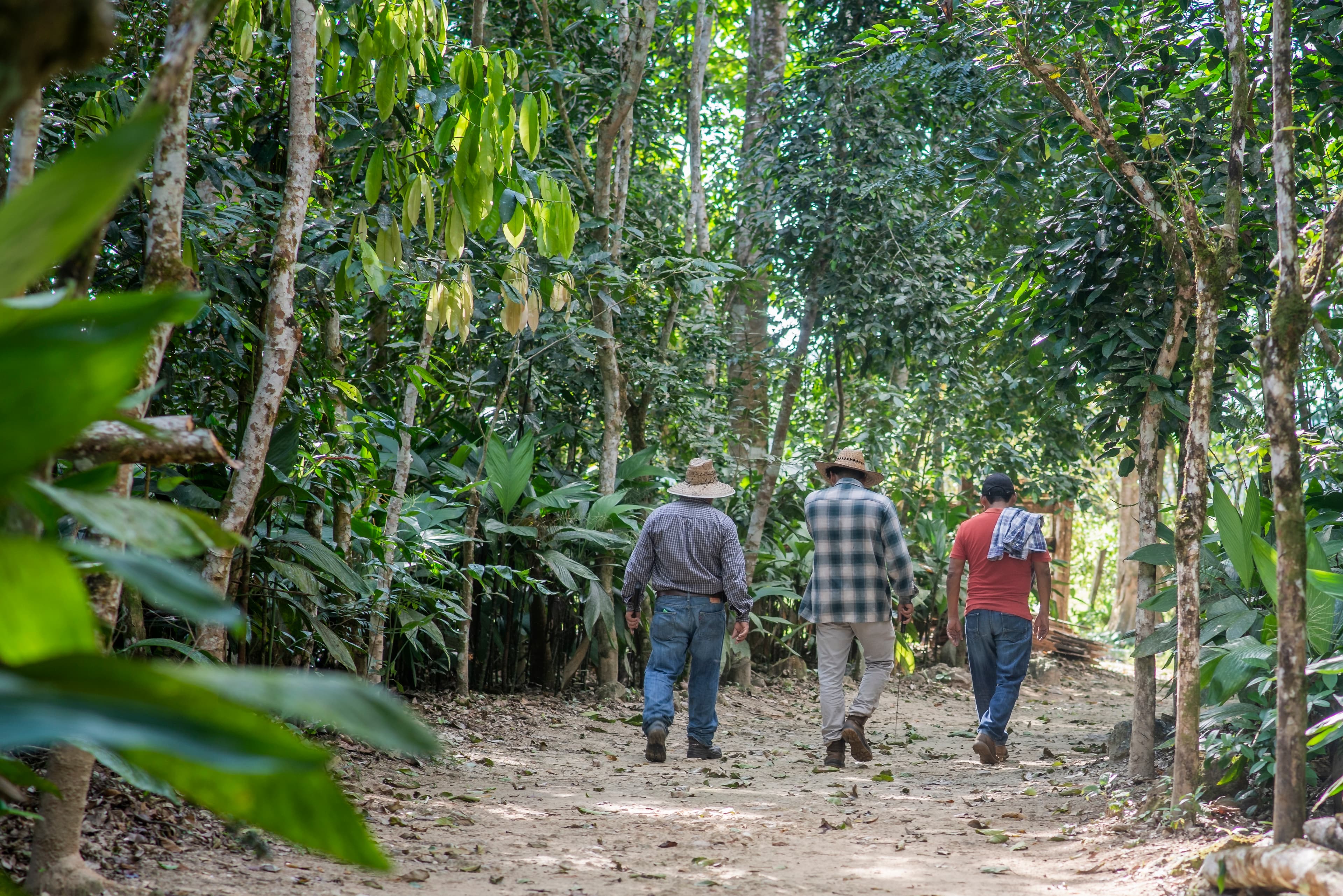 Cedar at Las Azucenas gallery image 1