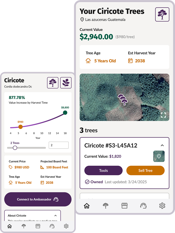 Canopy Marketplace
