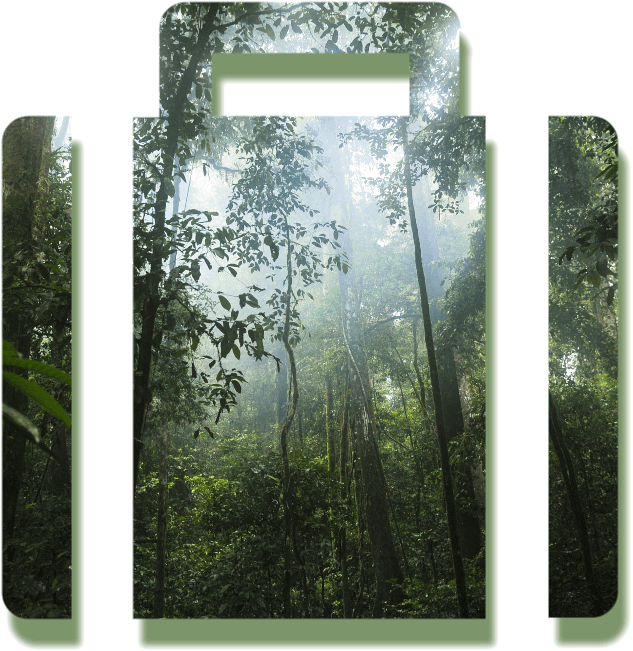Business tree ownership programs