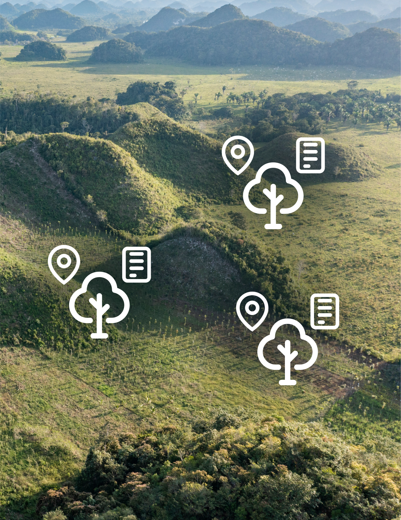 GPS-mapped trees showing precise location tracking and identification