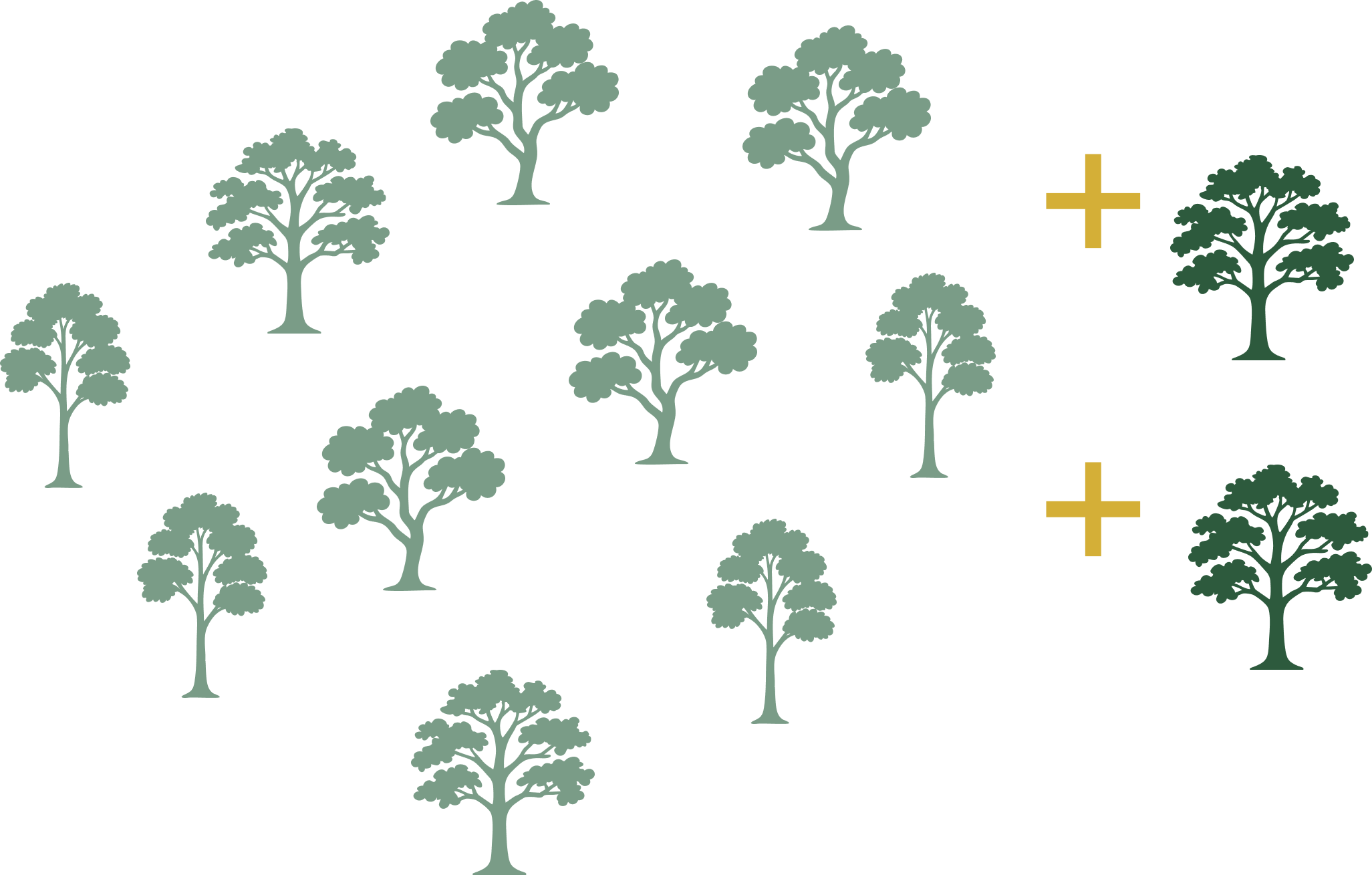 Green Friday tree ownership offers