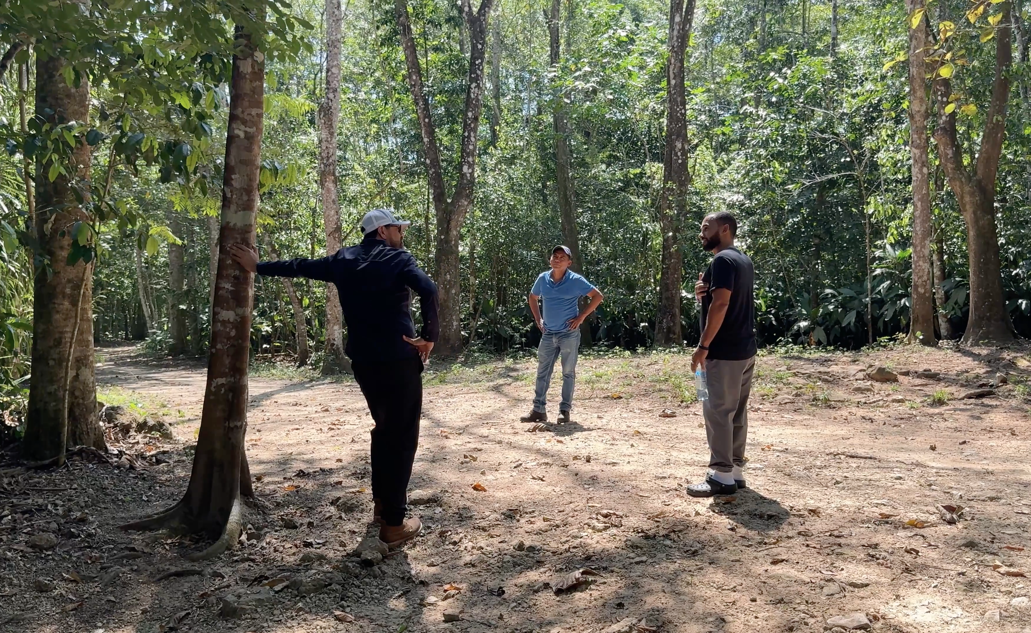 Forest management image 3